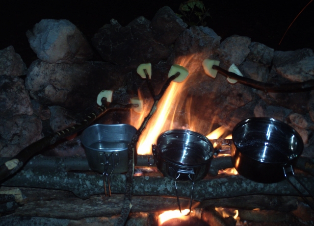  Curso de supervivencia 